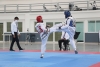 Definida seleccion estatal de Taekwondo para juegos Conade