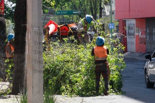 Jardineros