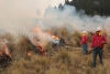 Disminuyen incendios forestales en la entidad mexiquense