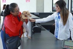 El Hospital de Macotas 450 responde a una necesidad real en una ciudad donde 7 de cada 10 hogares cuidan de un animal de compañía