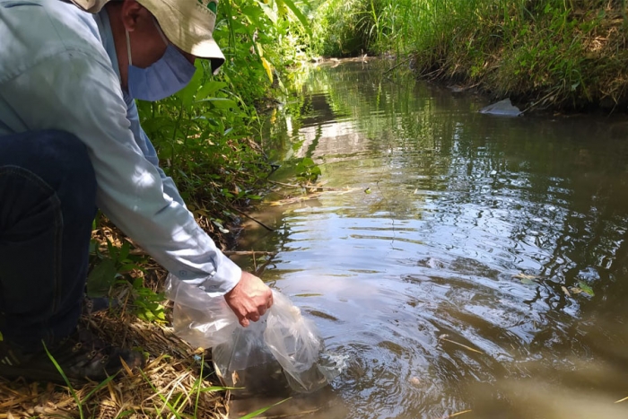 Pérdida de humedales afecta al país