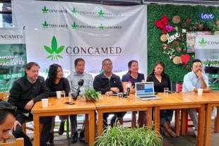 Se amparan en México un total de 6 mil personas para hacer uso de Cannabis