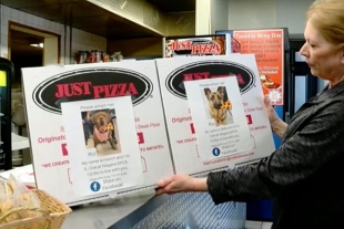 Pizzería usa sus cajas para impulsar la adopción de perritos