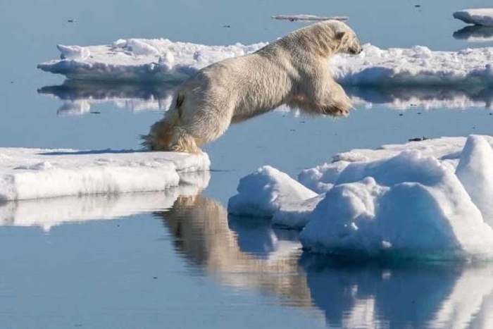 ¡Oh, no! El Ártico podría perder todo su hielo marino a partir de 2030