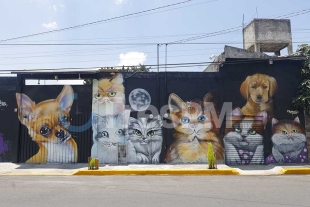 Mural de perros y gatos