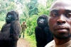 Furor por la selfie de dos gorilas junto a un guardabosque