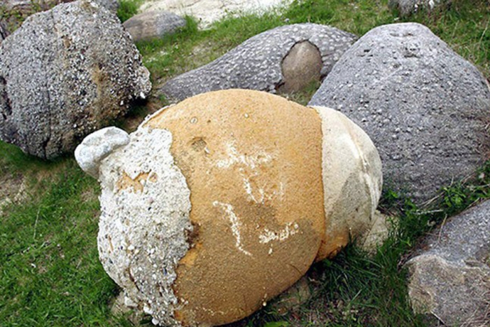 Respiran, crecen y se reproducen: el extraño fenómeno de las piedras vivas de Rumania