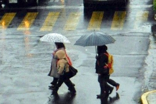 Lluvias hasta noviembre, urge reforestación urbana para contener efectos