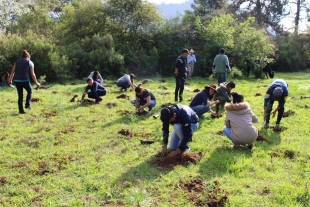 UAEM da inicio a la campaña universitaria de reforestación 2021