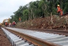Tren Maya generará desarrollo sin desproteger medio ambiente: AMLO