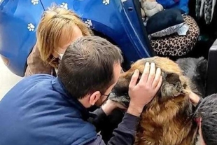 ¡Final feliz! perruno se reencuentra con su familia luego de siete años extraviado