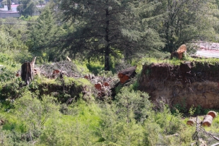 Bosque de Zinacantepec en peligro por constructoras