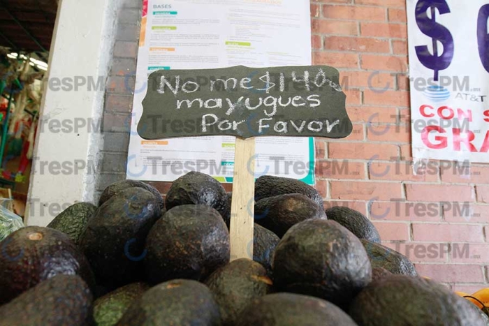 Aguacate ¡Todo un lujo! Alcanza hasta 180 pesos por kilo en mercados