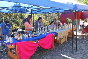 Visibilizando la presencia de productores y comercializadores de mezcal