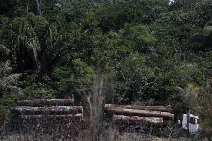 Justicia brasileña bloquea 18 millones de dólares de deforestadores de la Amazonia