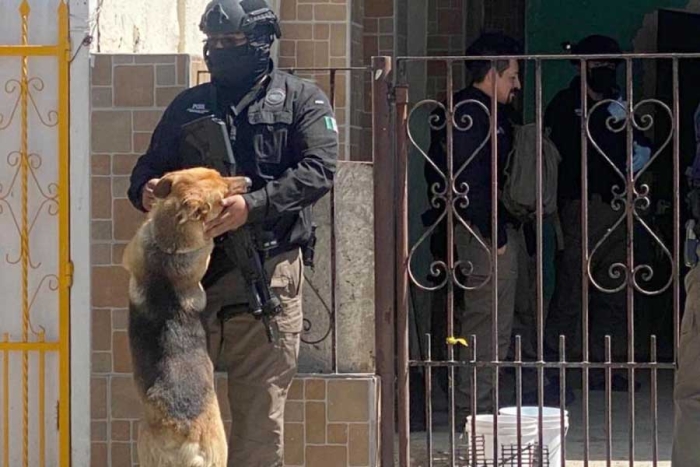 ¡Final feliz! Ejercito rescata a perrito hallado en narcotúnel de Tijuana