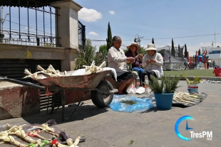 Domingo de Ramos, entre la fe, la necesidad y la contingencia