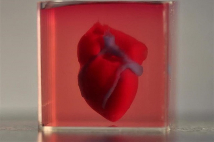 Científicos imprimen corazón en 3D