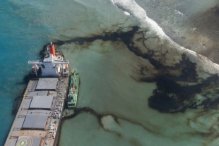 Marea negra: consecuencias para el medio ambiente