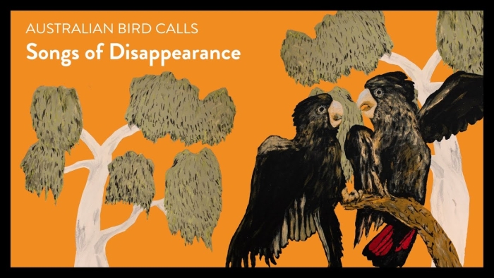 “Songs of disappearance”: el disco con cantos de aves en peligro de extinción