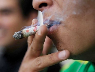 Marihuana, la droga favorita de los adolescentes