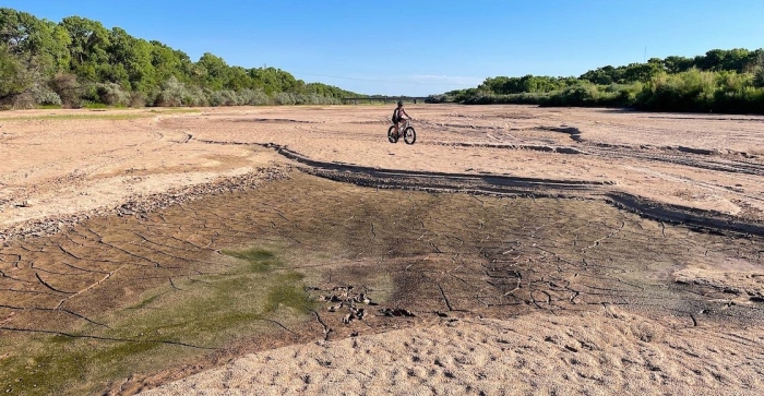 ¡Terrible! Sequía en el Río Bravo amenaza con desaparecer al pez carpa chamizal