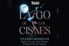 “Lago de los Cisnes”, un espectáculo imperdible en el Teatro Morelos