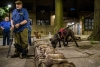 “Rats”: la brigada canina que persigue, caza y mata ratones en Nueva York