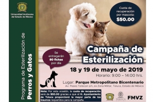 Realizan Toluca y UAEM campaña de esterilización canina y felina
