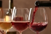 México será sede de congreso mundial del vino