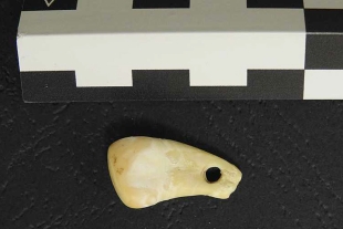 Recuperado ADN de una mujer del Paleolítico en un colgante de 20.000 años