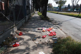 Acumulación de basura y pasto crecido se nota en CU