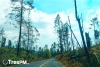 Deforestación extrema