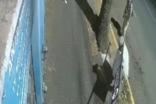 Con toda la calma, el hombre logra derribar la mampara mientras los demás vigilan