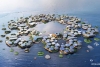 Así será la primera ciudad flotante del mundo: Oceanix
