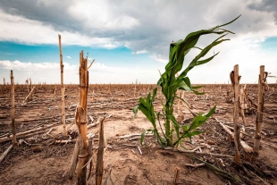 Inversión, prevención y leyes, las claves para superar la sequía en México