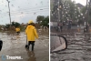 Lluvias dejan encharcamientos y árboles caídos en municipios del Valle de Toluca