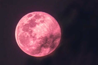 Luna Rosa 2025; ¿cuándo es y por qué se llama así?