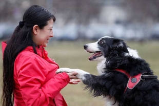 ¡Increíble! científicos mexicanos descubren que los perros pueden distinguir entre idiomas