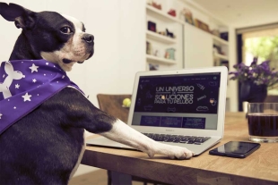Laika: la startup de mascotas que busca revolucionar el mercado