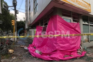 Automovilista tira árboles y choca contra un centro podólogo en Colonia Universidad