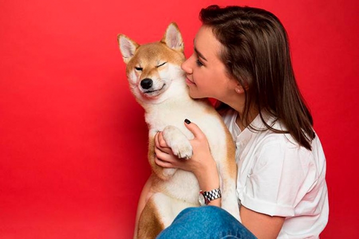 Acariciar, soplar, abrazar: cosas que no les gustan a los perros