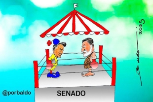 Política mexicana