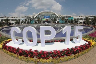 México buscará alcanzar acuerdos en la COP15 sobre biodiversidad