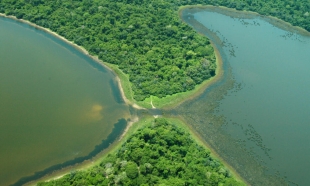 COP28: México y otros 40 países impulsan plan para restaurar ríos y humedales