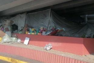 A esta situación se suma el mal aspecto que generan en la zona