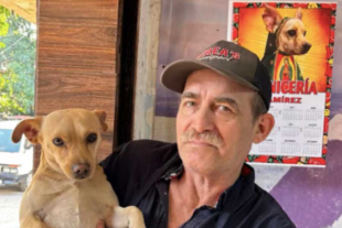 Estos artículos no tardaron en hacerse virales en redes sociales,