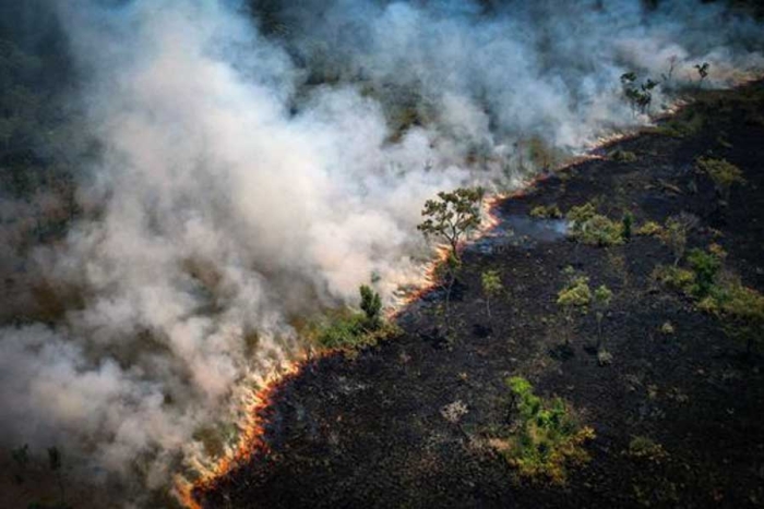 Incendios en la Amazonia de este año superaron los de todo 2021