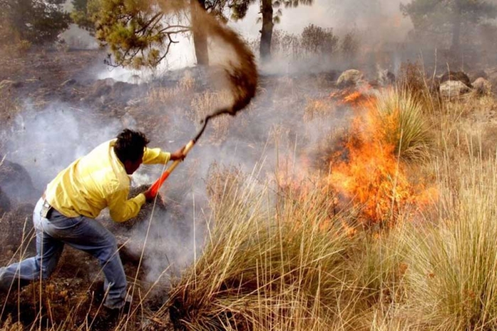 Correa Hernández advirtió la pertinencia de la reforma, ante la grave problemática de devastación de la naturaleza