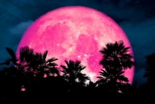 ¿De cuántos colores se puede ver la luna? Descúbrelo con esta imagen de la NASA